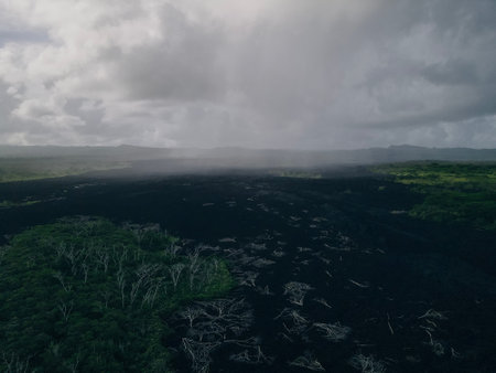 Aerial shot of waves crashing into a Hawaiian lava rock coast. High quality photoの写真素材