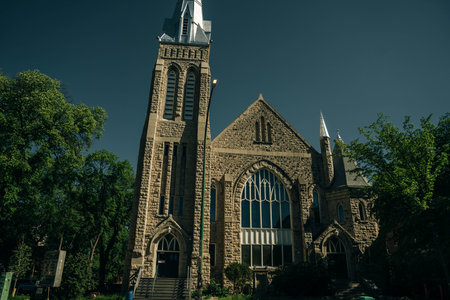 High quality photoの写真素材