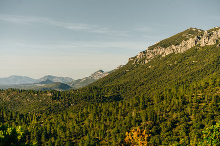 Panoramic view of beautiful landscape of Supramonte Mountains with green hills, trees and mediterranean forest vegetation. Ogliastra, Sardinia, Italy. . High quality photoの写真素材