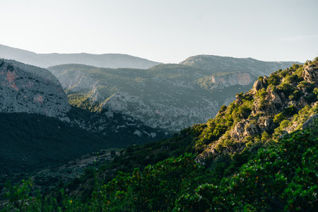 Panoramic view of beautiful landscape of Supramonte Mountains with green hills, trees and mediterranean forest vegetation. Ogliastra, Sardinia, Italy. . High quality photoの写真素材