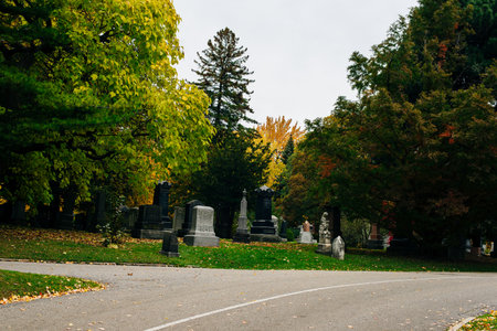 Toronto Ontario - October 23, 2023: Fall Day in Mount Pleasant Cemetery. High quality photo