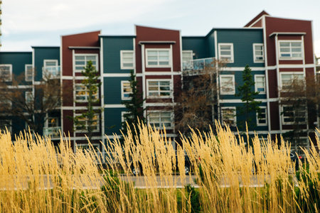 modern houses in calgary. dry grass in the foreground. High quality photoの写真素材