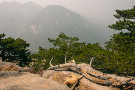 peak of stone in Bukhansan national park, Seoul - Sep, 2 2024. High quality photoの写真素材