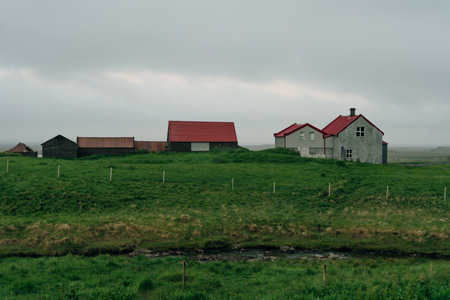 rural scene with grazing sheep,rustic farm buildings and a tranquil lake,capturing Iceland...
