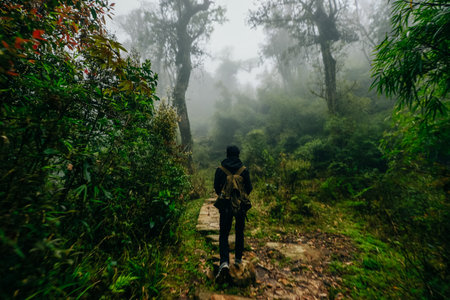 Traveler with backpack looks at the mountains and rice terraces in the rain in the North of Vietnam....
