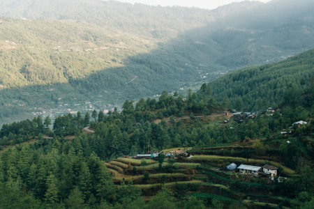 Terraced farming in Nepal. Village on a terraced hill during Annapurna Circuit Trek in Himalayas, Annapurna Conservation Area, Nepal. Rise fields. Agricultural concept. High quality photoの写真素材