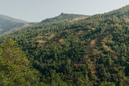 Terraced farming in Nepal. Village on a terraced hill during Annapurna Circuit Trek in Himalayas, Annapurna Conservation Area, Nepal. Rise fields. Agricultural concept. High quality photoの写真素材
