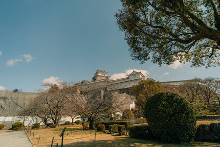 Himeji Castle with cherry blossoms an Iconic castle dated to 1333 at Honmachi, Himeji, Hyogo, Japan. High quality photoの写真素材