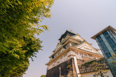 Osaka Castle main keep (Tenshu) on inner wall. Osaka Castle is a Japanese castle in Chuo ward in historic city of Osaka, Japan. It's one of the most famous castle in Japan.の写真素材