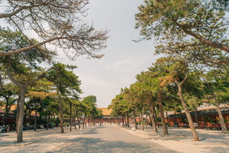 Palaces, pagodas inside the territory of the Forbidden City Museum in Beijing in the heart of city,China. High quality photoの写真素材