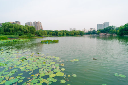 Beijing, China - 3 June 2025 Chao Yang Gong Yuan in summer. High quality photo