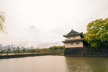 Skyscrapers in marunouchi business district viewed from outer gardens of Imperial Palace, Tokyo. High quality photoの写真素材