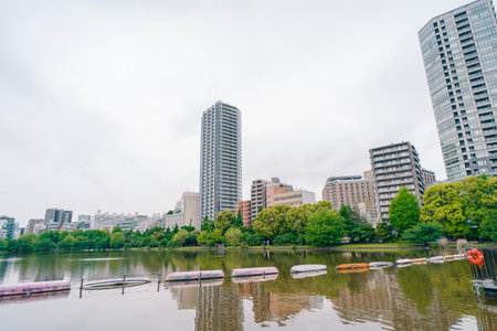 Tokyo, Japan - 10 July 2025 Shinobazu Pond in Ueno park. High quality photoの写真素材