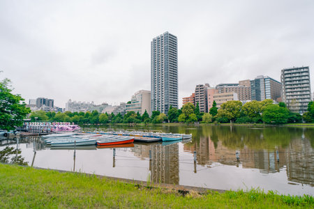 Tokyo, Japan - 10 July 2025 Shinobazu Pond in Ueno park. High quality photo