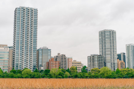 Tokyo, Japan - 10 July 2025 Shinobazu Pond in Ueno park. High quality photoの写真素材