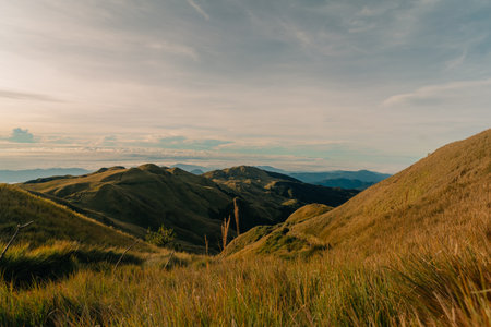 mountain Pulag, Mountain Province, Philippines. High quality photo