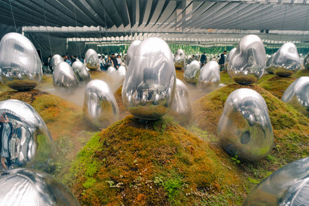 tokyo, japan - 3 august 2025 teamLab Planets Art Museum in Tokyo.