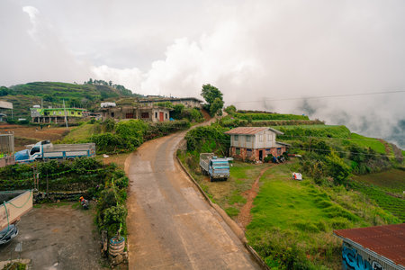 High lush green scene of agricultural fields. High quality photo