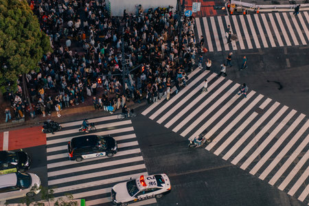 Tokyo, Japan - may 2 2025 Shibuya pedestrian crossing and city lights. High quality photo