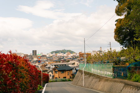 Cityscape of Matsuyama, Ehime Prefecture, Japan. High quality photo