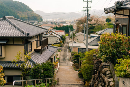 shikoku, JAPAN - may 2 2025 No.41 Ryuko Temple, in the Shikoku Pilgrimage. High quality photo