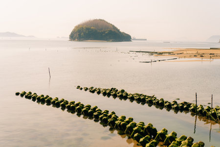 Protective concrete tetrapod blocks in Shikoku, Japan. High quality photo