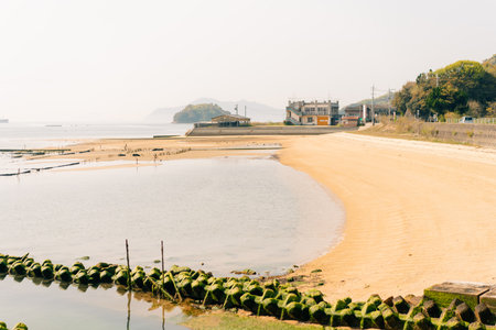 Protective concrete tetrapod blocks in Shikoku, Japan. High quality photoの写真素材
