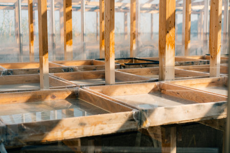 The image shows the inside of a greenhouse. High quality photoの写真素材