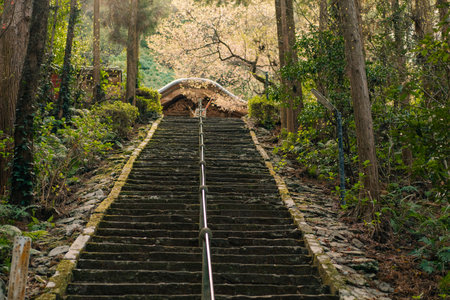 Tokushima, Japan - may 2 2025 No.36 Shoryu Temple on the Shikoku Pilgrimage. High quality photo