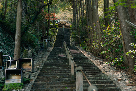 Tokushima, Japan - may 2 2025 No.36 Shoryu Temple on the Shikoku Pilgrimage. High quality photoの写真素材