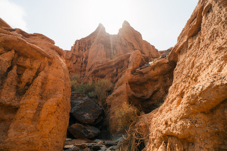 Kok-Moinok canyon in Kyrgyzstan in sunny day. High quality photo