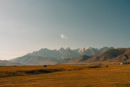 Kurumduk valley, Naryn province, Kyrgyzstan, Central Asia. High quality photo