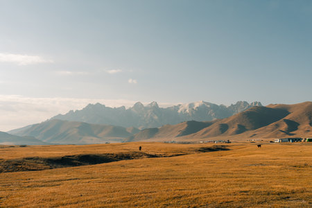 Kurumduk valley, Naryn province, Kyrgyzstan, Central Asia. High quality photoの写真素材