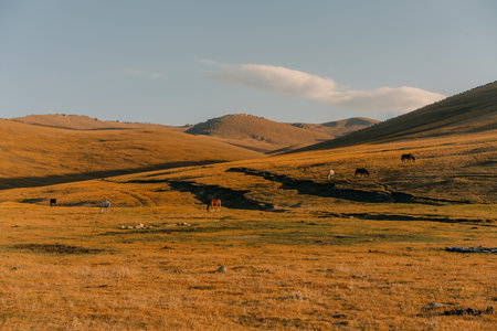 The road across the Tien Shan Mountains to Song - Kul Lake, Kyrgyzstan. High quality photoの写真素材