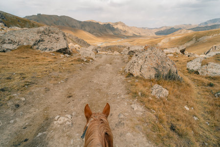 Kurumduk valley, Naryn province, Kyrgyzstan, Central Asia. High quality photoの写真素材