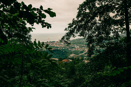 green trees and view of Batumi city with suburb from Sameba hill on autumn day. High quality photoの写真素材