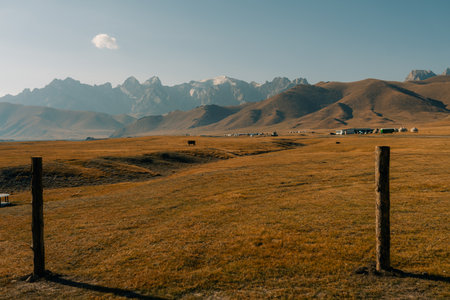 River coming from Kel-Suu mountain range, Kurumduk valley, Naryn province, Kyrgyzstan, Central Asia.の写真素材