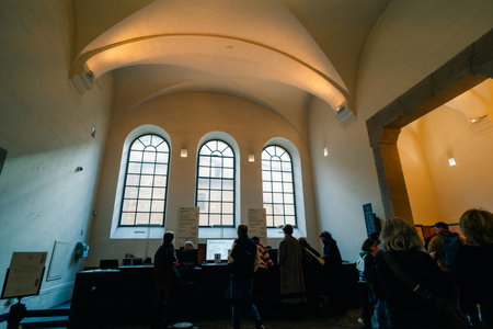 Museum of Fine Arts Lyon, France - 3 Nov 2025. High quality photoのeditorial素材