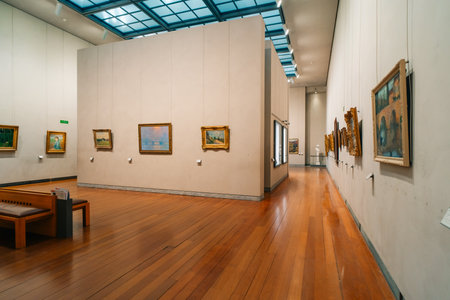 Museum of Fine Arts Lyon, France - 3 Nov 2025. High quality photoのeditorial素材