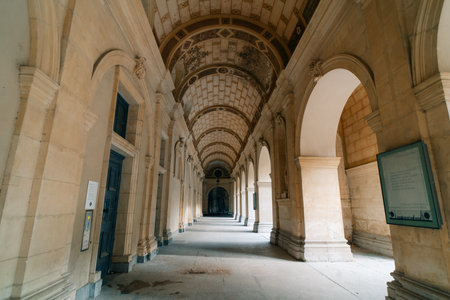 Museum of Fine Arts Lyon, France - 3 Nov 2025. High quality photoのeditorial素材