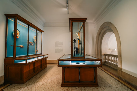 Museum of Art and History in Geneva, Switzerland - 2 Dec 2025. High quality photoのeditorial素材