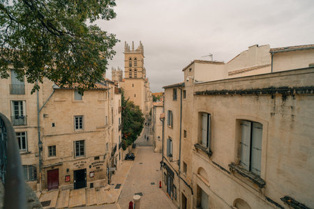 Montpellier Cathedral or Saint Pierre Cathedral is a roman catholic church located in Montpellier city in France - 2 Dec 2025. High quality photoのeditorial素材