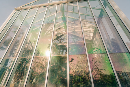 Conservatory and Botanical Garden of the city of Geneva is a museum and an institution in Geneva...
