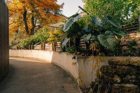 Conservatory and Botanical Garden of the city of Geneva is a museum and an institution in Geneva city in Switzerland. High quality photoのeditorial素材