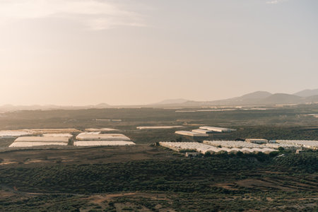 Plastic greenhouse at a banana plantation in Buenavista del Norte on the north coast of Tenerife in the Canary Islands, Spain. High quality photoの写真素材