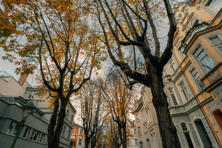 Bonn, Germany - Oct 2 2025 Bonn old town is a mix of historical buildings and narrow alleys. High quality photoの写真素材