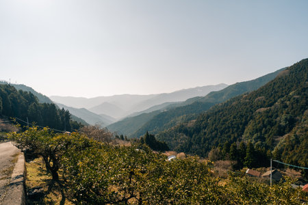 Ishizuchi Mountains on Shikoku Island in Japan. High quality photoの写真素材