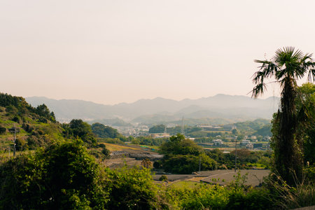 shikokuchuo-shi, ehime, japan - August 3, 2025 City view