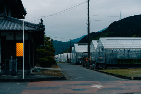 shikoku, japan - 3 August 2025 a rural landscape at dusk in Japan, showing greenhouses and a...