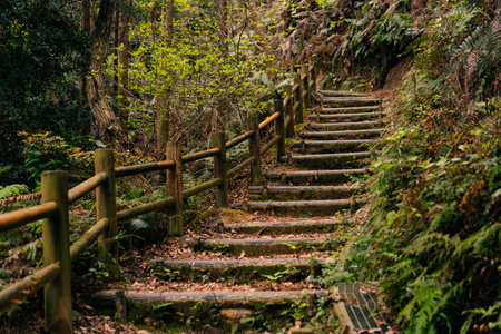 shikoku, japan - 3 August 2025 a wooden staircase leading up the hillside in a wooded area. High...